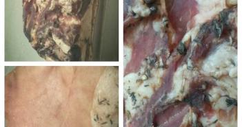 Mijn eigen pancetta Zelfgemaakte pancetta
