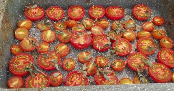 Gedroogde tomaten uit de oven Gedroogde tomaten uit de oven