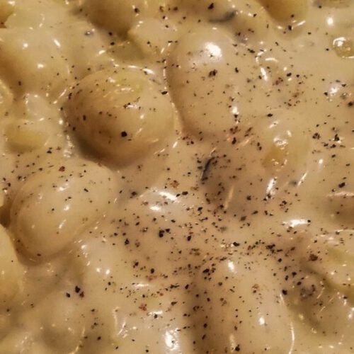 Gnocchi met vierkazensaus