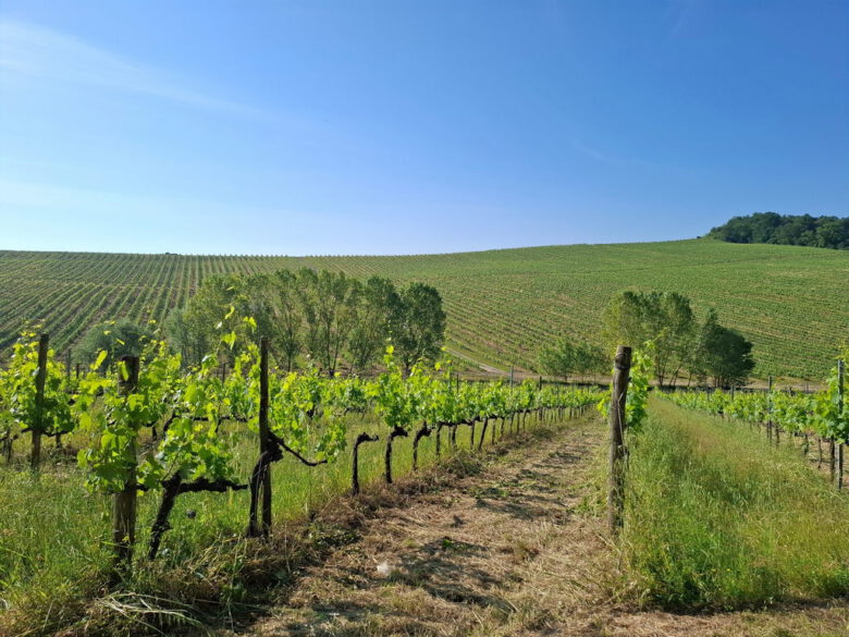 Chianti wijnstreek
